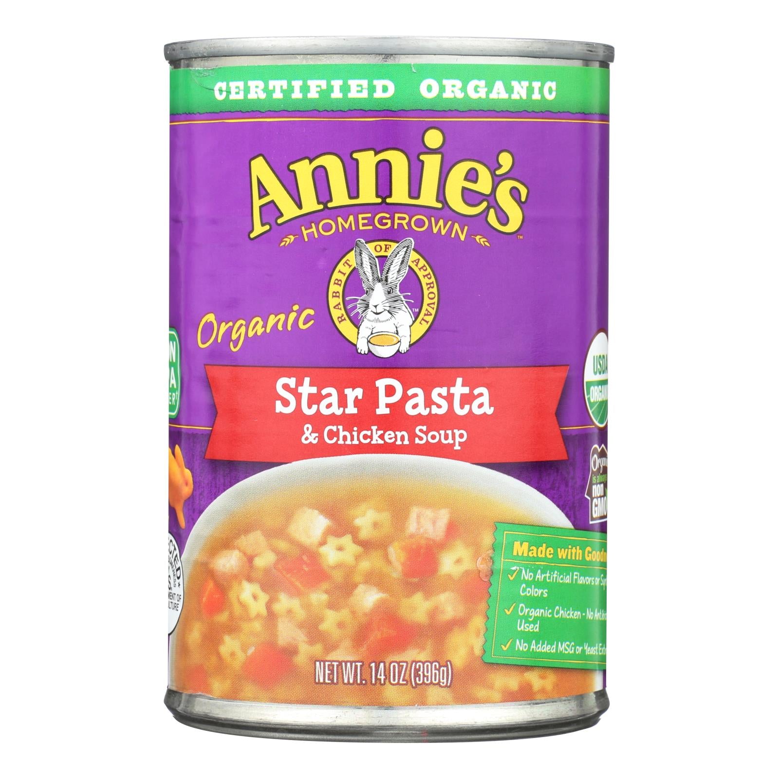 Annie'S Homegrown, Annie's Homegrown - Soup - Star Pasta and Chicken Soup - Case of 8 - 14 oz. (Pack of 8)