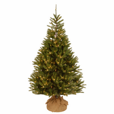 National Tree Co-Import, Artificial Pre-Lit Christmas Tree, 500 Clear Lights, Feel Real Topeka Spruce, 7-Ft.