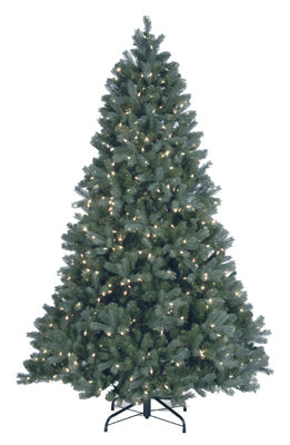 National Tree Co-Import, Artificial Pre-Lit Christmas Tree, Douglas Blue Fir With 700 Warm White LED Lights, Hinged, 7.5-Ft.