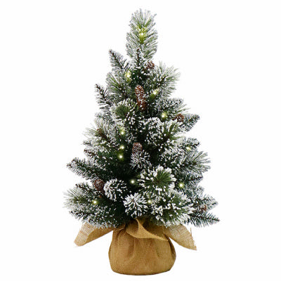 National Tree Co-Import, Artificial Pre-Lit Christmas Tree, Glittery Bristle Pines, 15 Warm White LED Lights, 2-Ft.