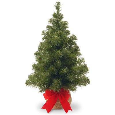 National Tree Co-Import, Artificial Pre-Lit Christmas Tree, Noble Fir, 15 Warm White LED Lights, 16-In. x 2-Ft