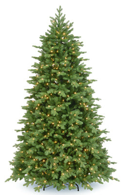 National Tree Co-Import, Artificial Pre-Lit Christmas Tree, Princeton Fraser, 800 Clear Lights, 7.5-Ft.