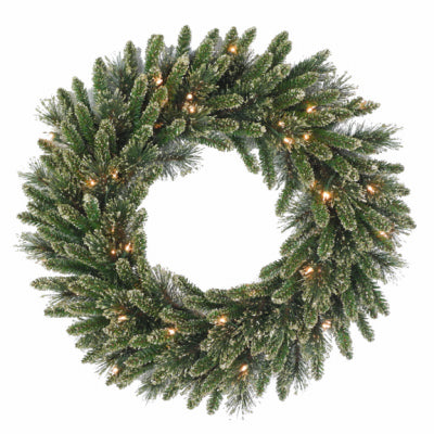 National Tree Co-Import, Artificial Wreath, Golden Bristle, 50 Battery-Operated Warm White LED Lights, 24-In.