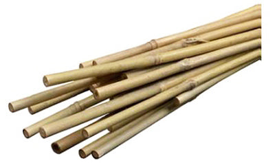 Miracle-Gro, Bamboo Plant Stakes, 2-Ft., 12-Pk.