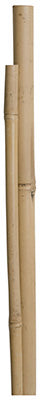 Miracle-Gro, Bamboo Pole Plant Stakes, 5-Ft., 4-Pk.