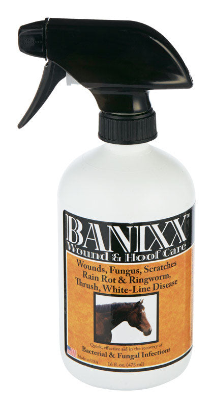 MWI VETERINARY SUPPLY, Banixx  Liquid  Anti-bacterial Anti-fungal Solution  For All Animals 1 pt.