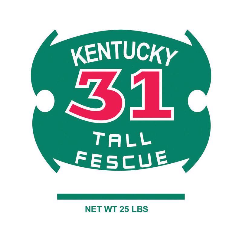 BARENBRUG USA INC, Barenbrug Kentucky 31 Tall Fescue Grass Sun or Shade Grass Seed 25 lb