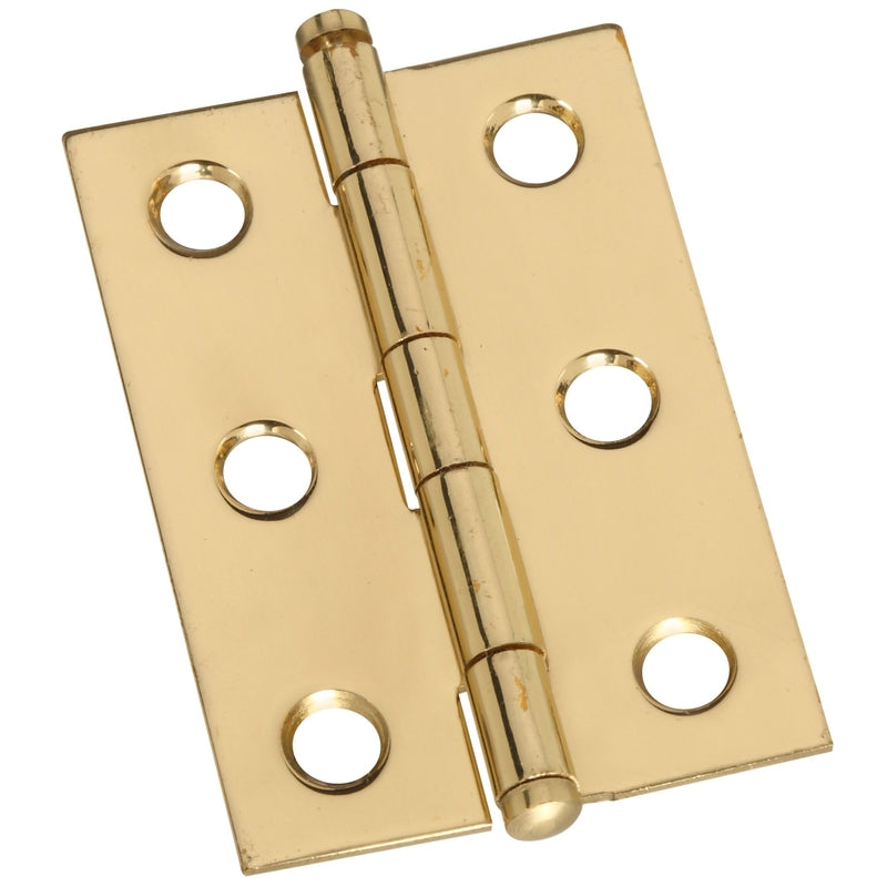 NATIONAL MFG SALES CO, National Hardware 2 in. W X 1-3/8 in. L Gold Brass Ball Tip Hinge 1 pk